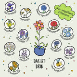 Dose mit 25 bunten Blumenmurmeln