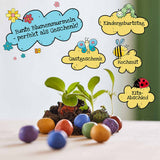 Dose mit 25 bunten Blumenmurmeln