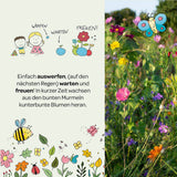 Blumenmurmeln Naturabenteuer, 100er Dose