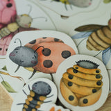 Holzpuzzle | Lebenszyklus der Insekten