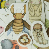 Holzpuzzle | Lebenszyklus der Insekten
