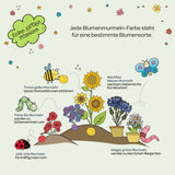 Blumenmurmeln Naturabenteuer, 100er Dose